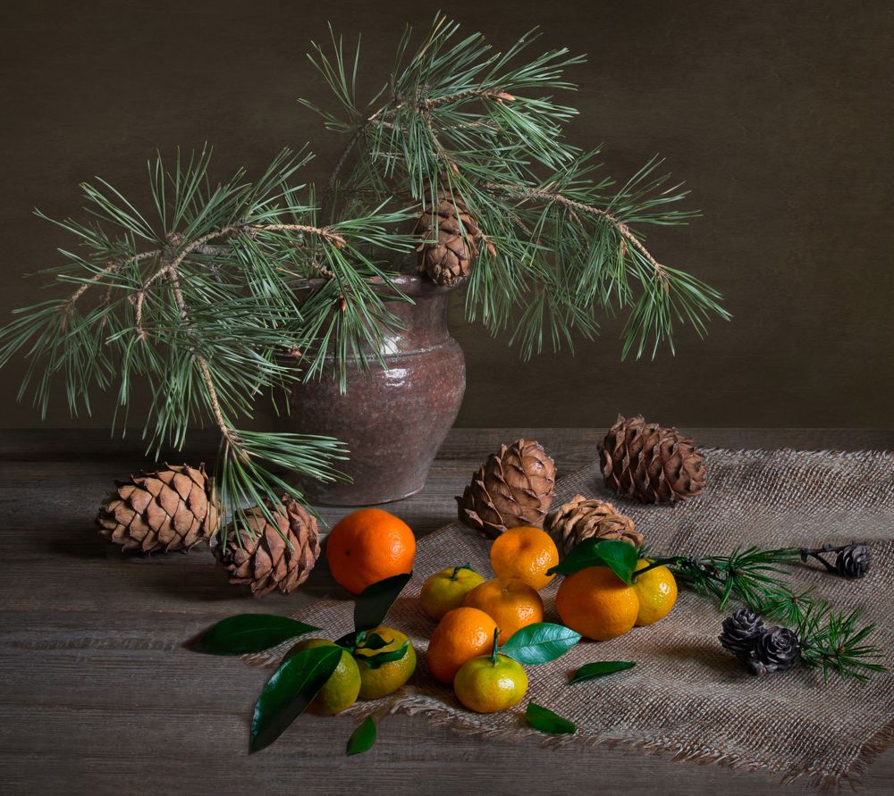 Photograph by Вера Лопатина