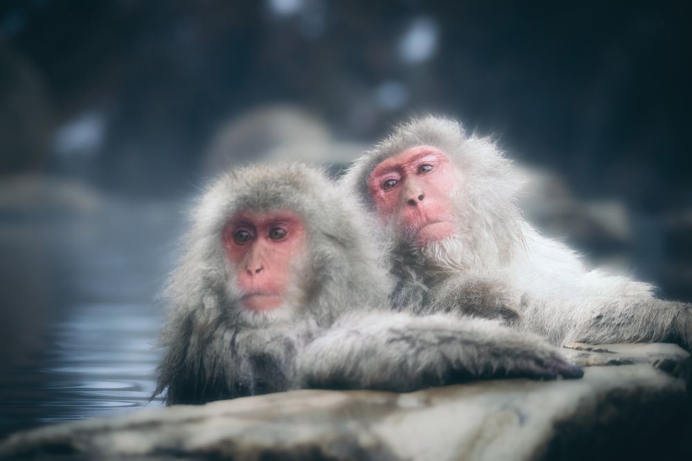 Фотография автора Luong Quyen