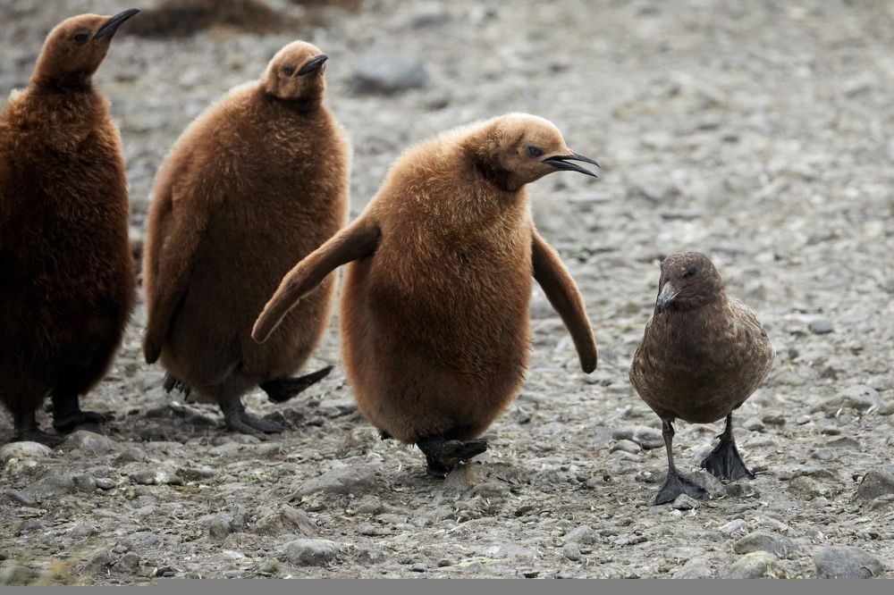 Фотография автора Boris Konovalov