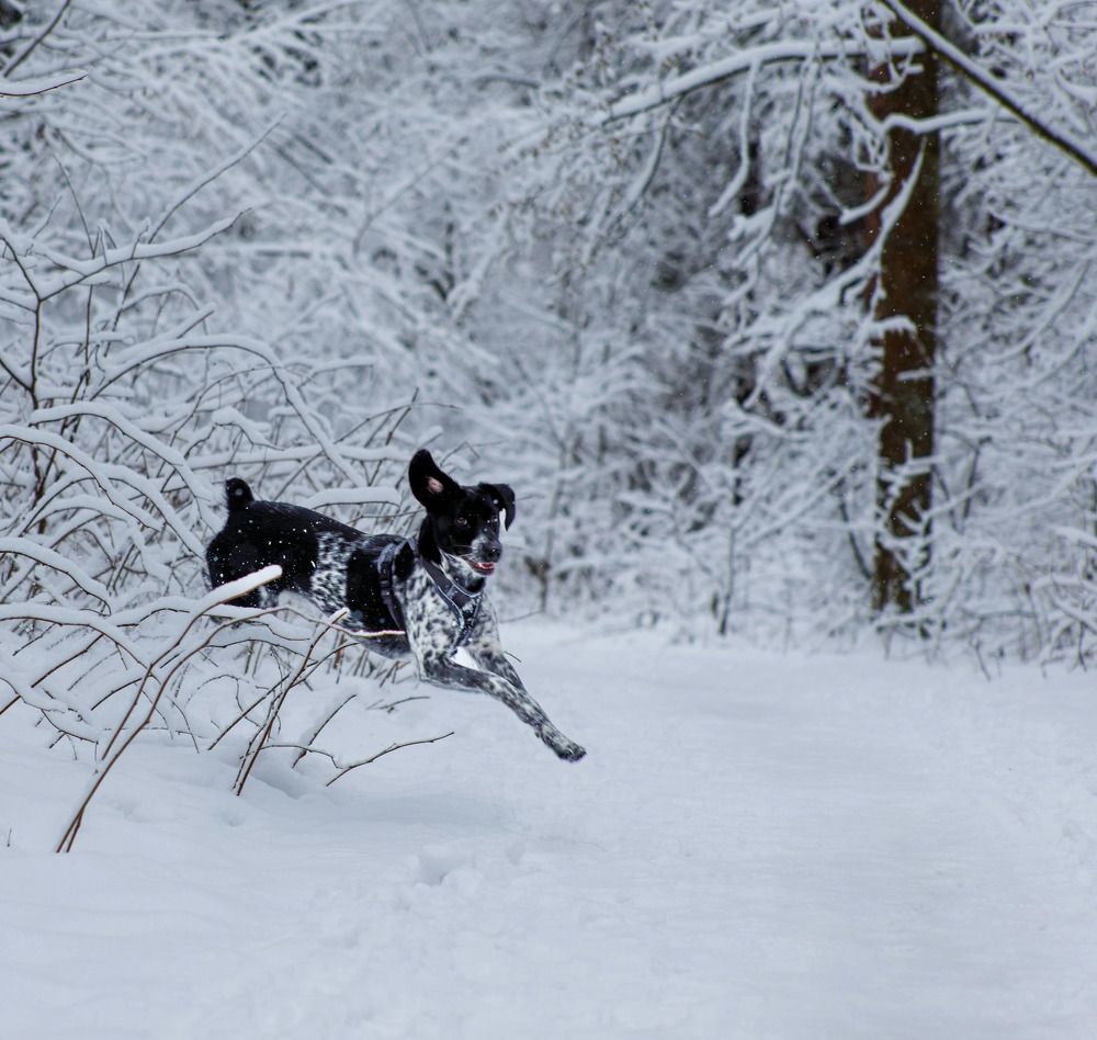 Photograph by Ольга Чибисова