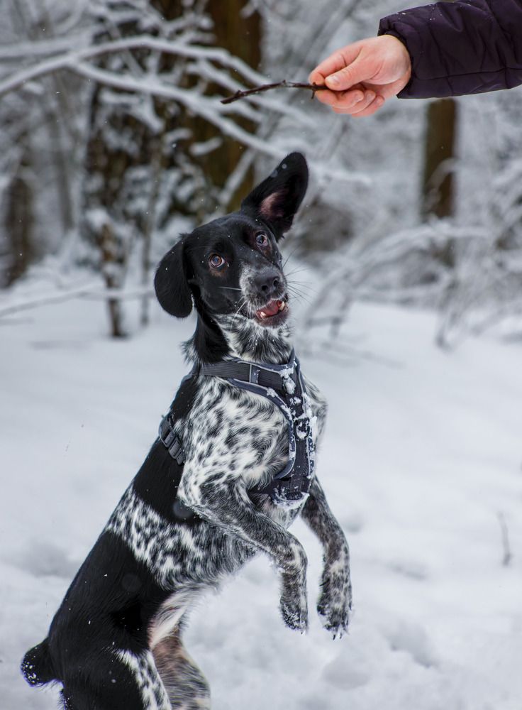 Photograph by Ольга Чибисова