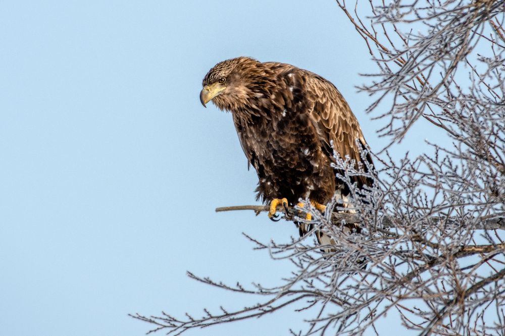 Photograph by константин