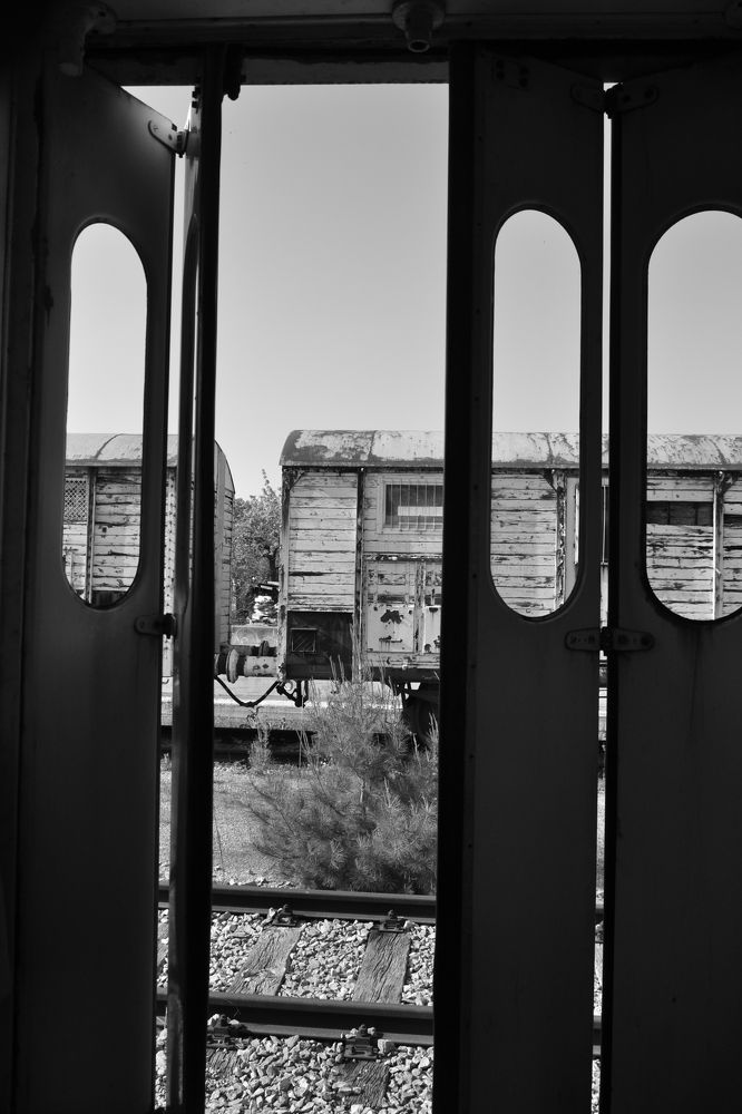 Photograph by Angelo Pascale
