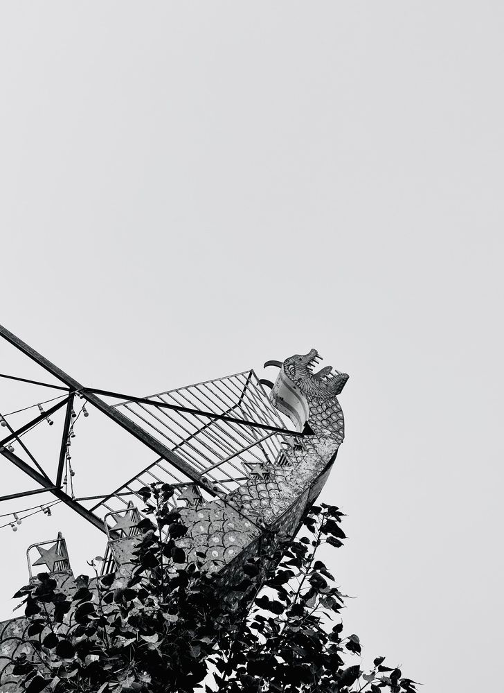 Photograph by KANHAIYA YADAV