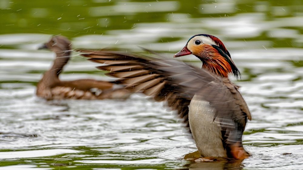 Photograph by константин