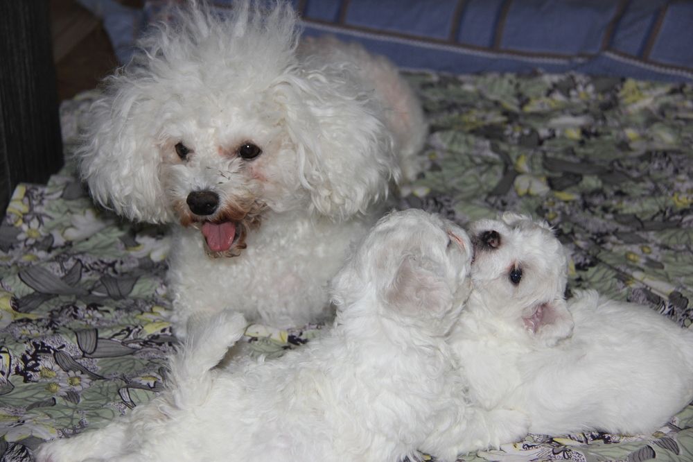 Photograph by Nikita Zorin