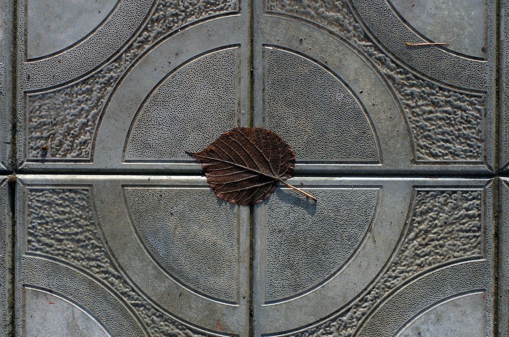 Photograph by Анатолий Святой