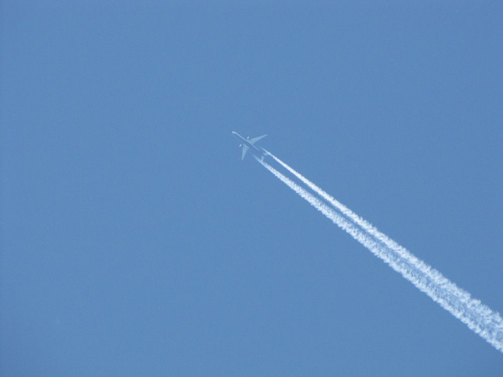 Фотография автора Кузьмичева Екатерина Васильевна