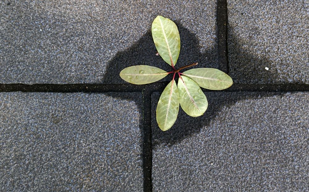 Photograph by Светлана