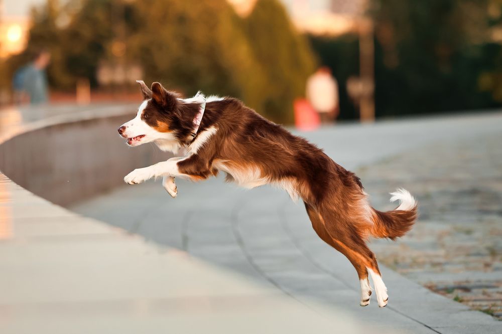 Photograph by Ксения