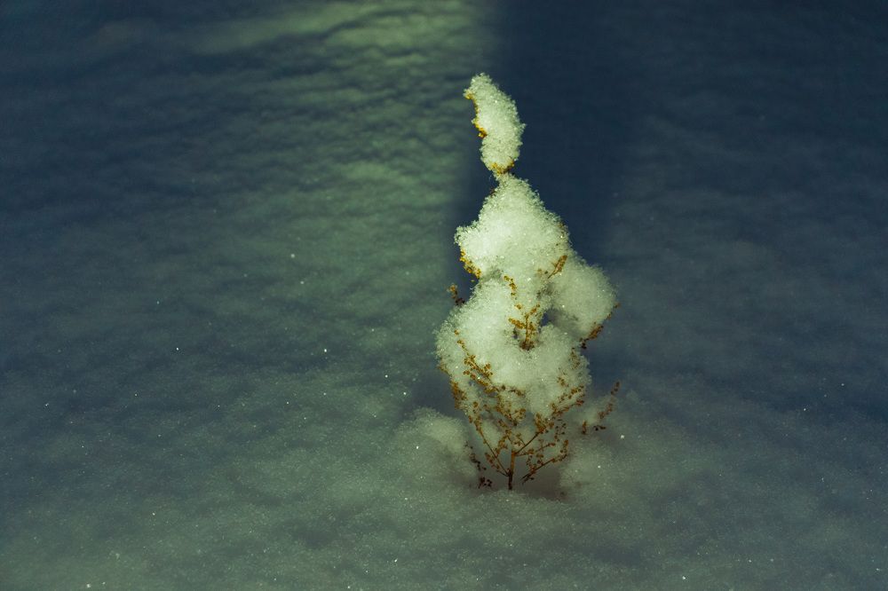 Photograph by Олег Хамуев