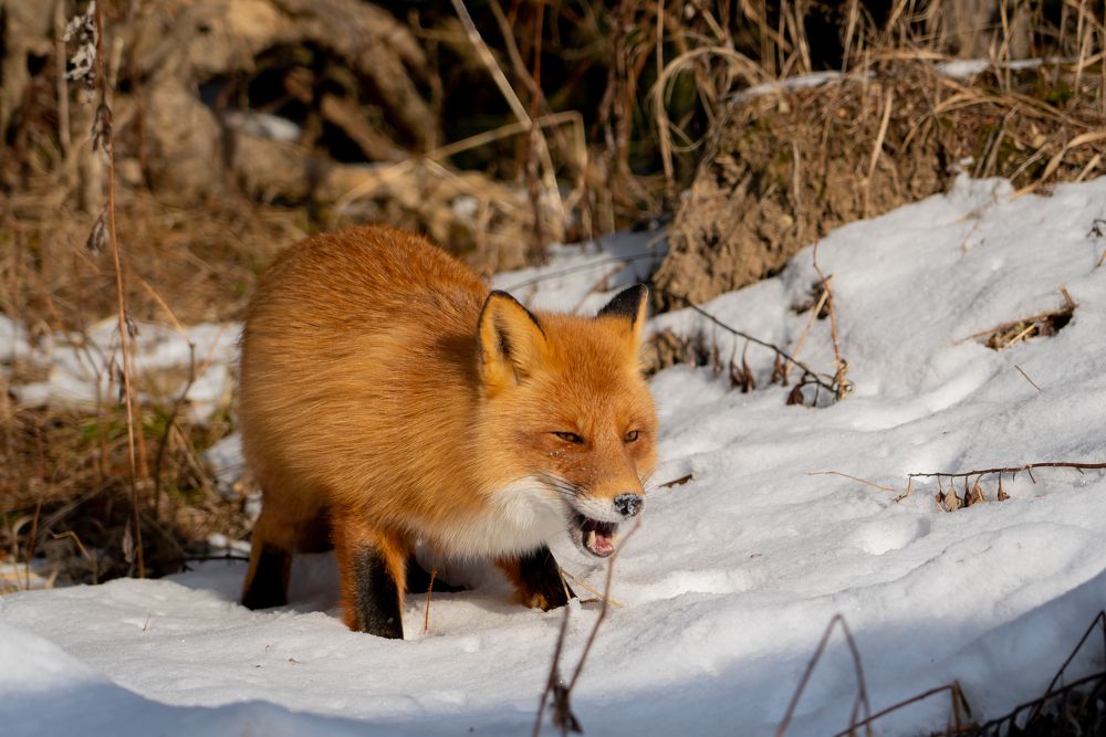 Photograph by Евгений