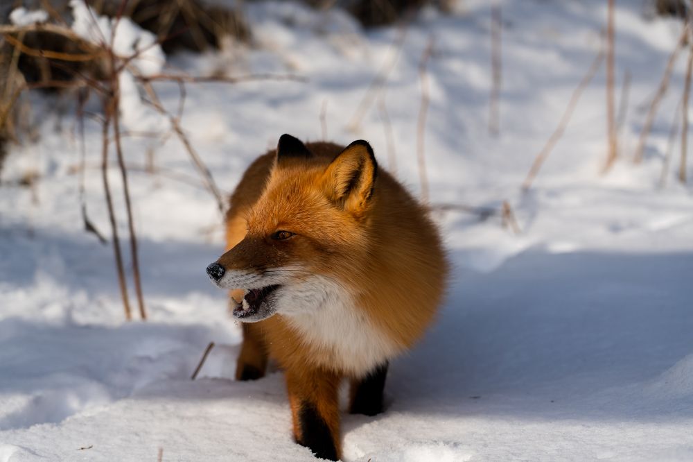 Photograph by Евгений