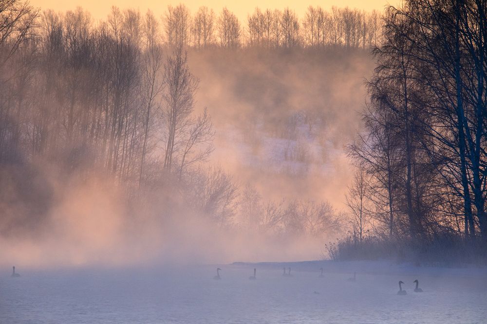 Photograph by Дмитрий Юдин