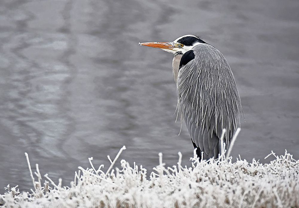 Photograph by Marjo Steffen