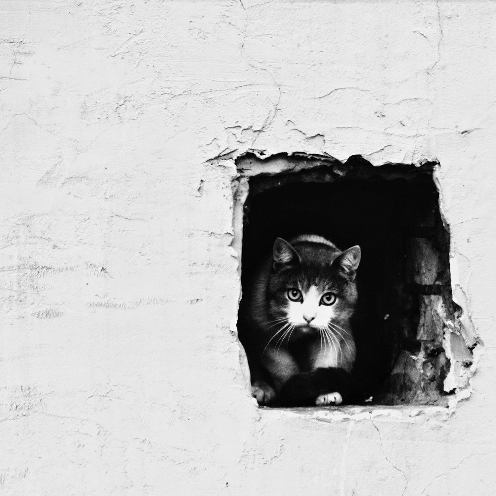 Photograph by Ксения Шилина