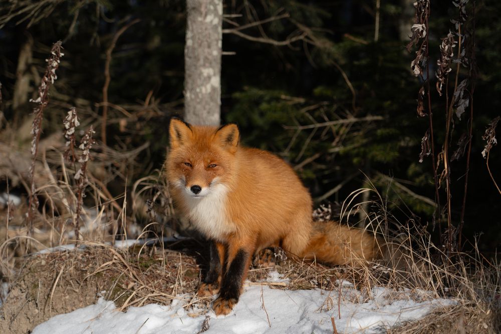 Photograph by Евгений