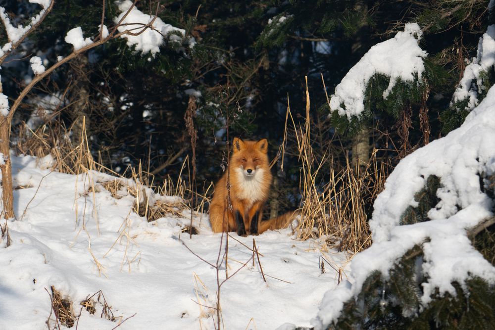 Photograph by Евгений