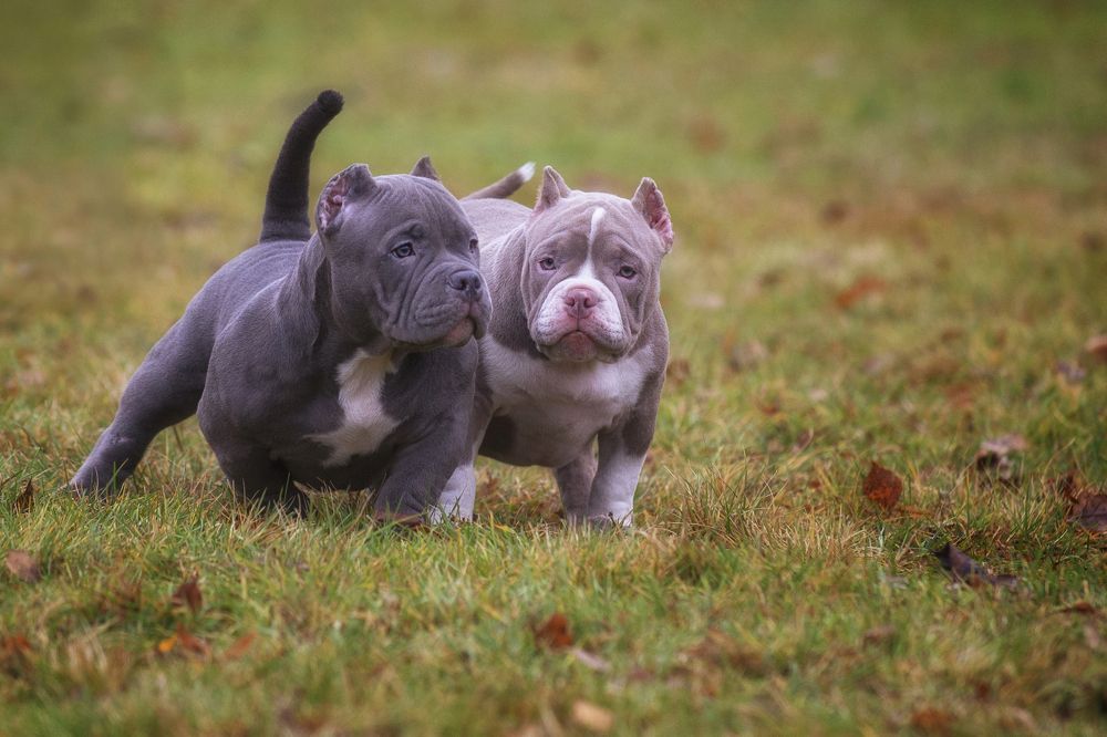 Photograph by Кулаков Юрий