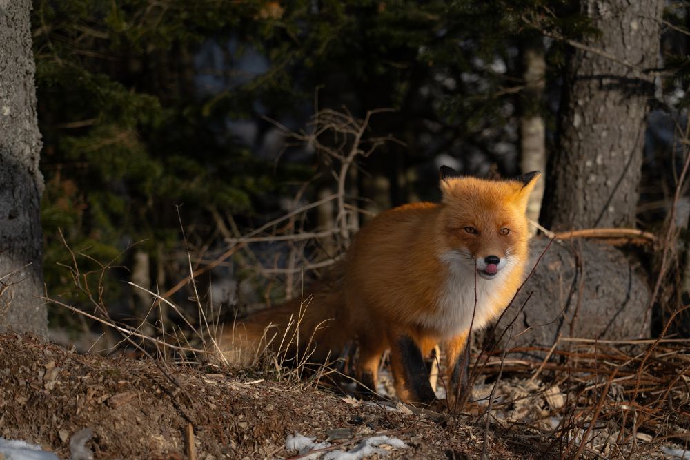 Photograph by Евгений