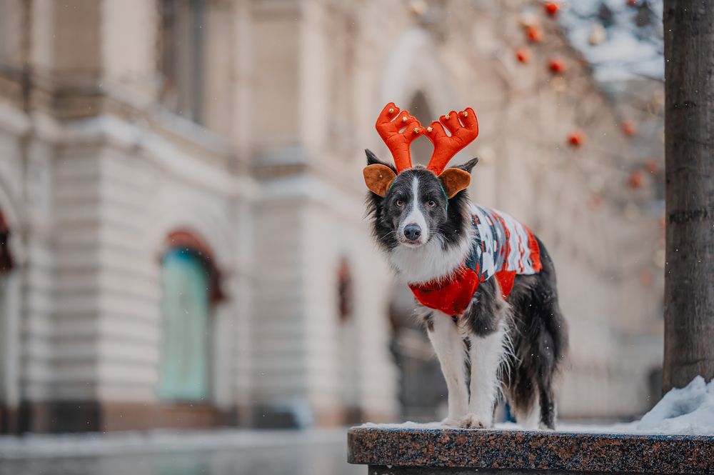 Photograph by Kate Entsi