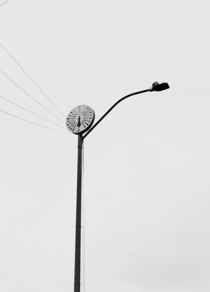 Photograph by Mahesh Varade