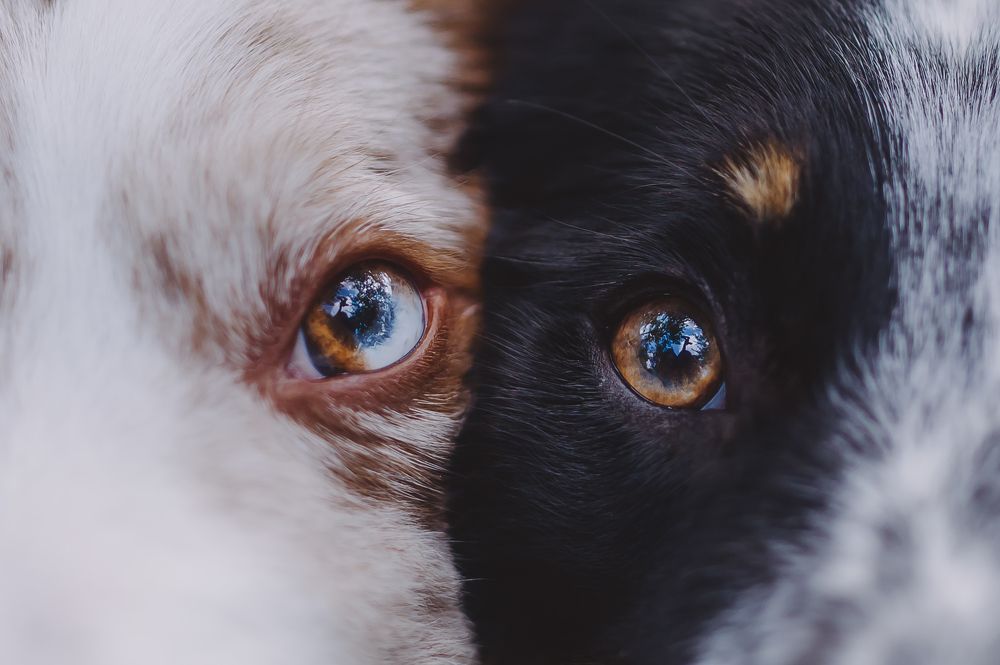 Photograph by Kate Entsi