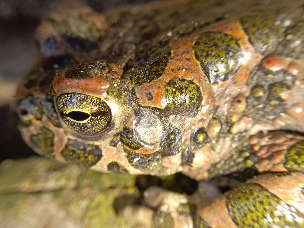 Photograph by Александр Казачек