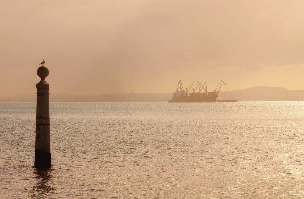 Photograph by Viviana García