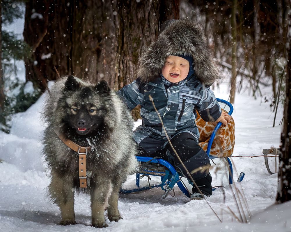 Фотография автора Максимов Алексей