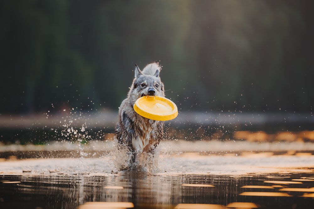 Photograph by Kate Entsi