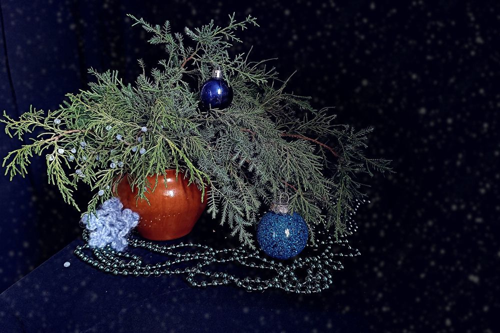 Photograph by Диана Токаревич