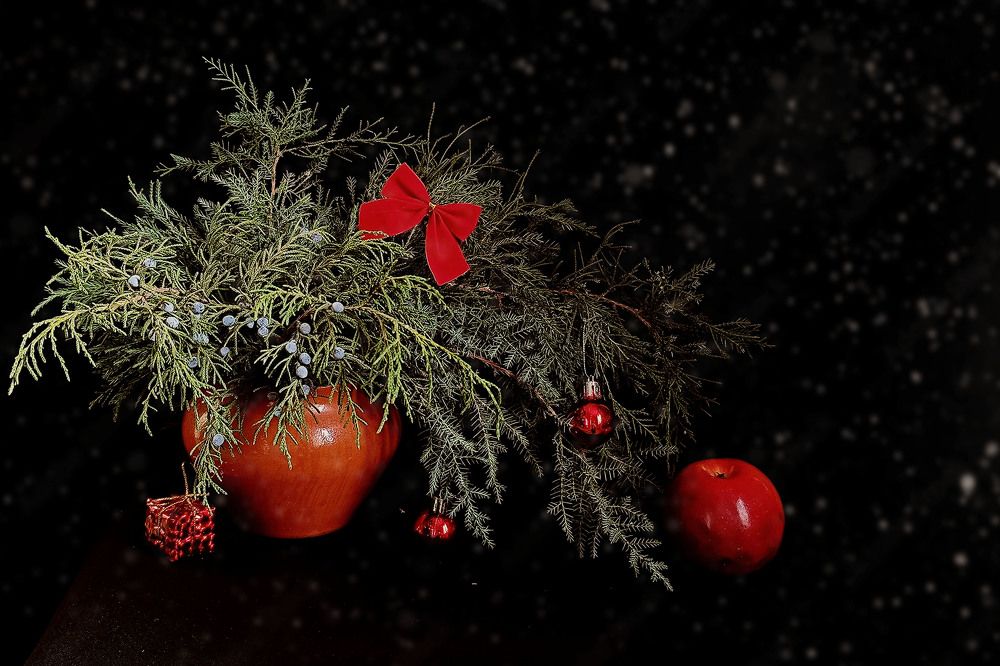 Photograph by Диана Токаревич