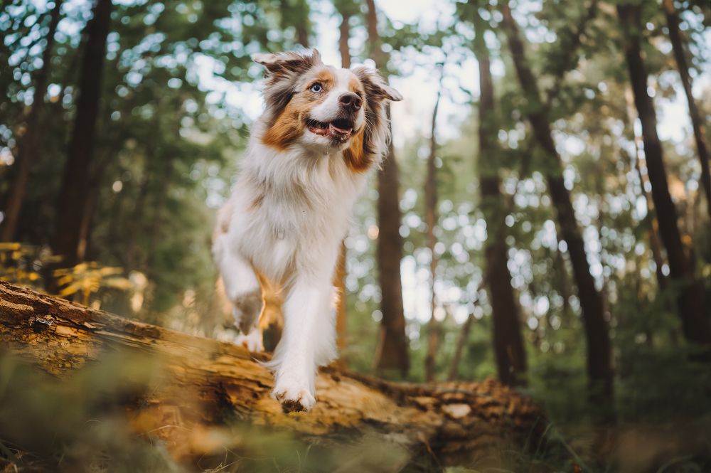 Photograph by Kate Entsi