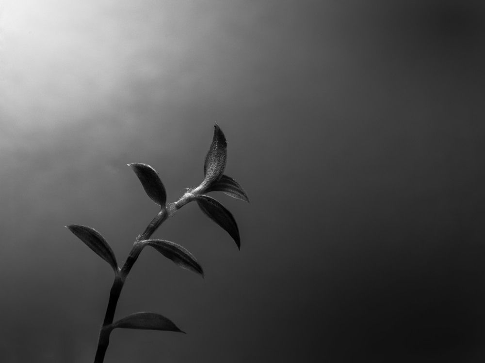 Фотография автора Даниил Берко