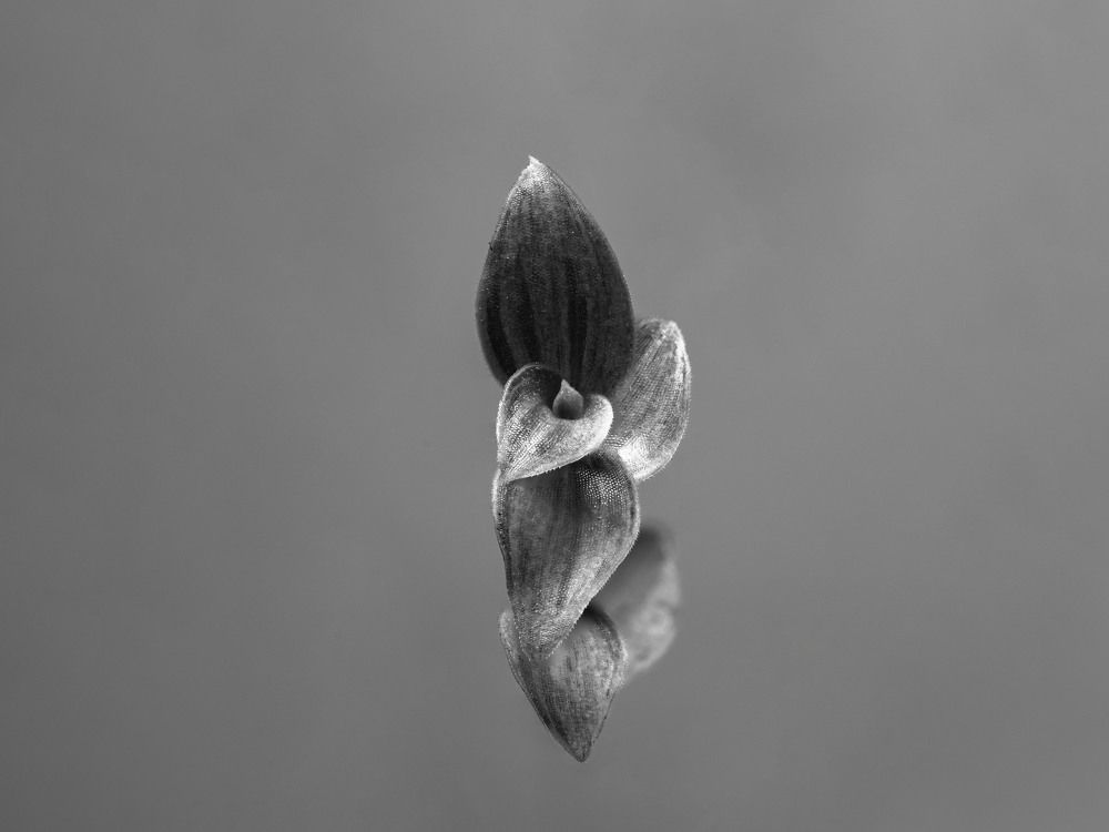 Фотография автора Даниил Берко