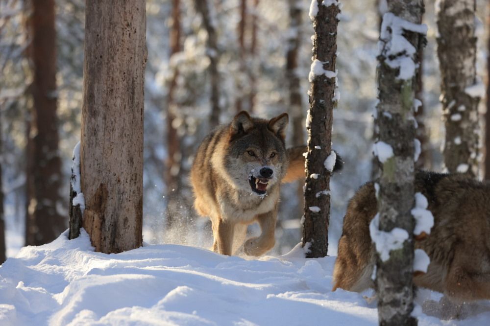 Photograph by Одаренко Ольга