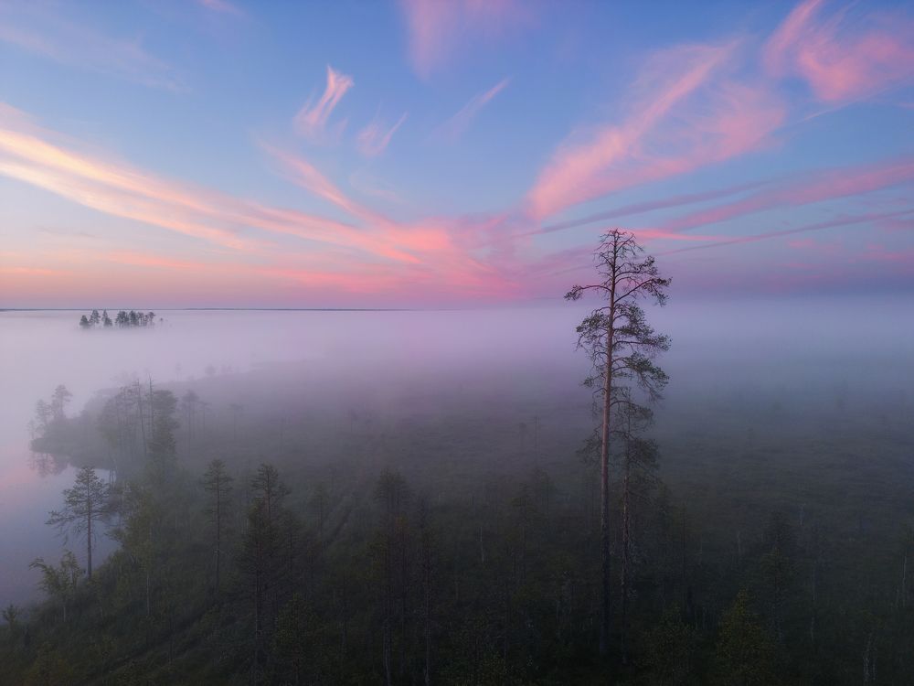 Photograph by Иван Чаланов