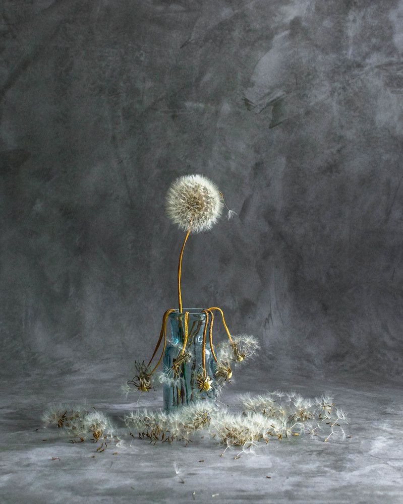 Photograph by Людмила Прибылова