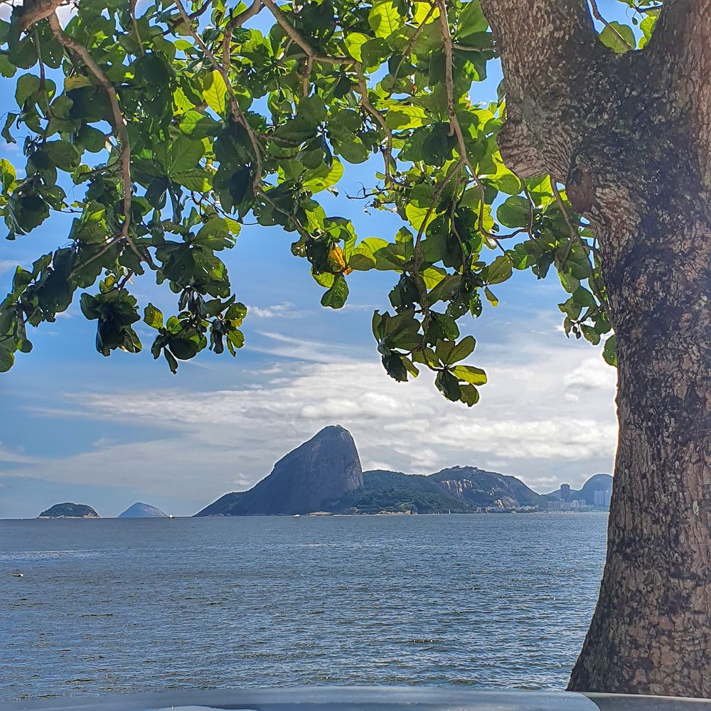 Photograph by Cristhiane Euphrasio da Silva