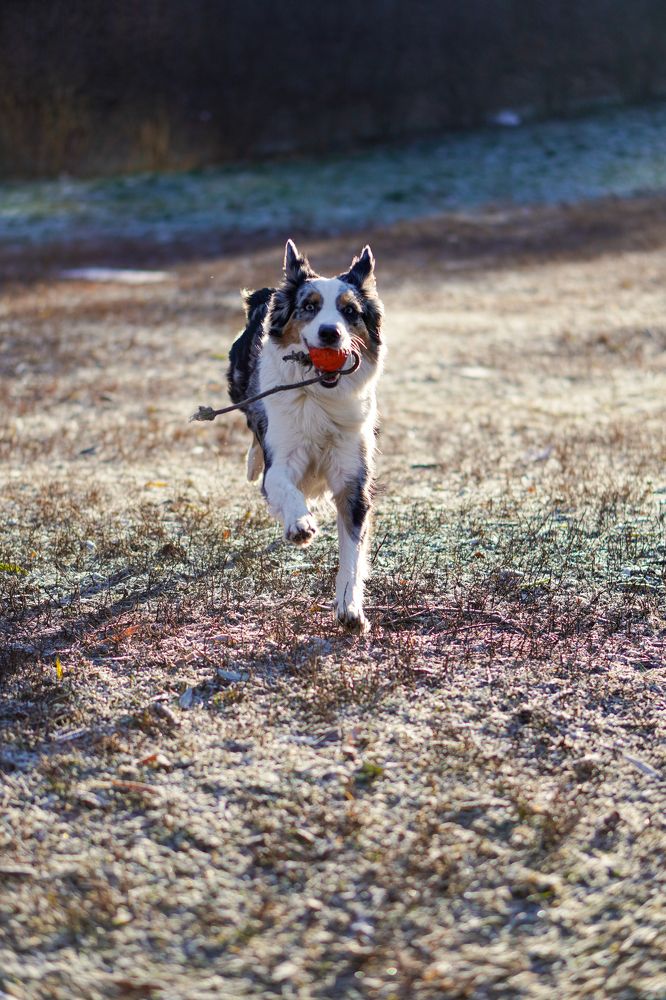 Photograph by Диана