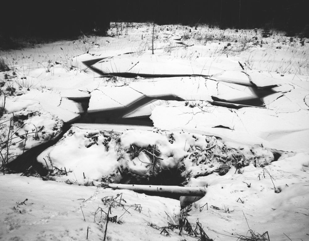 Photograph by Денис Королёв