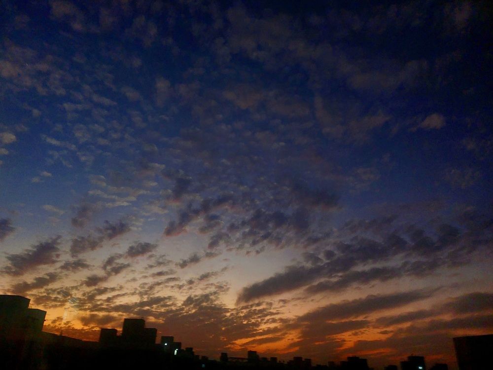 Photograph by Soha Hossam