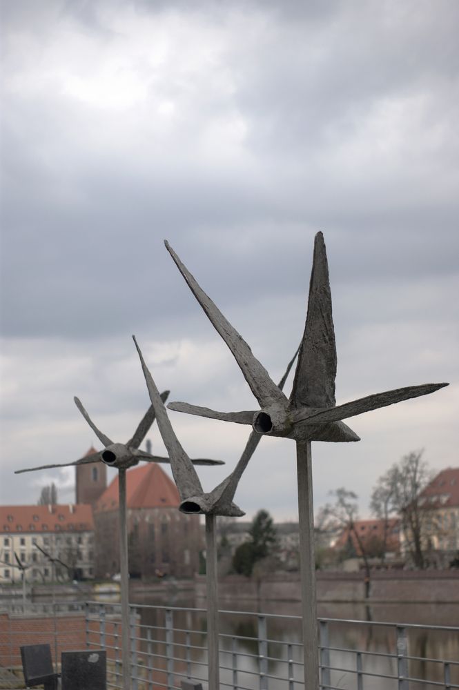 Фотография автора Dari