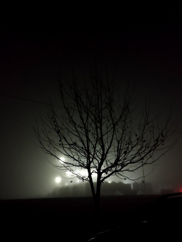 Photograph by Bárbara Pereyra