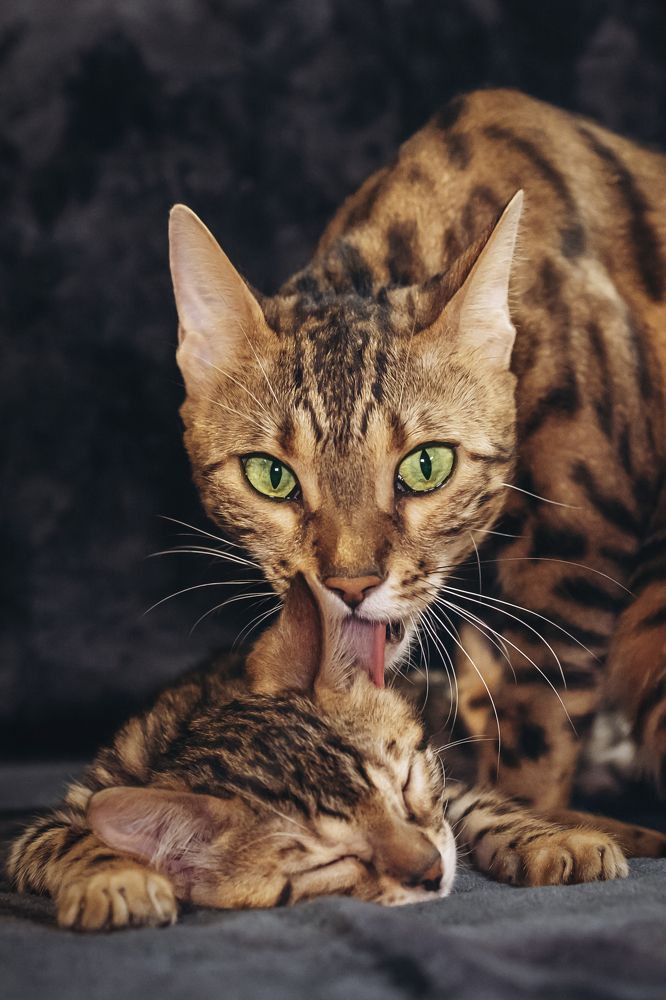 Фотография автора Марина