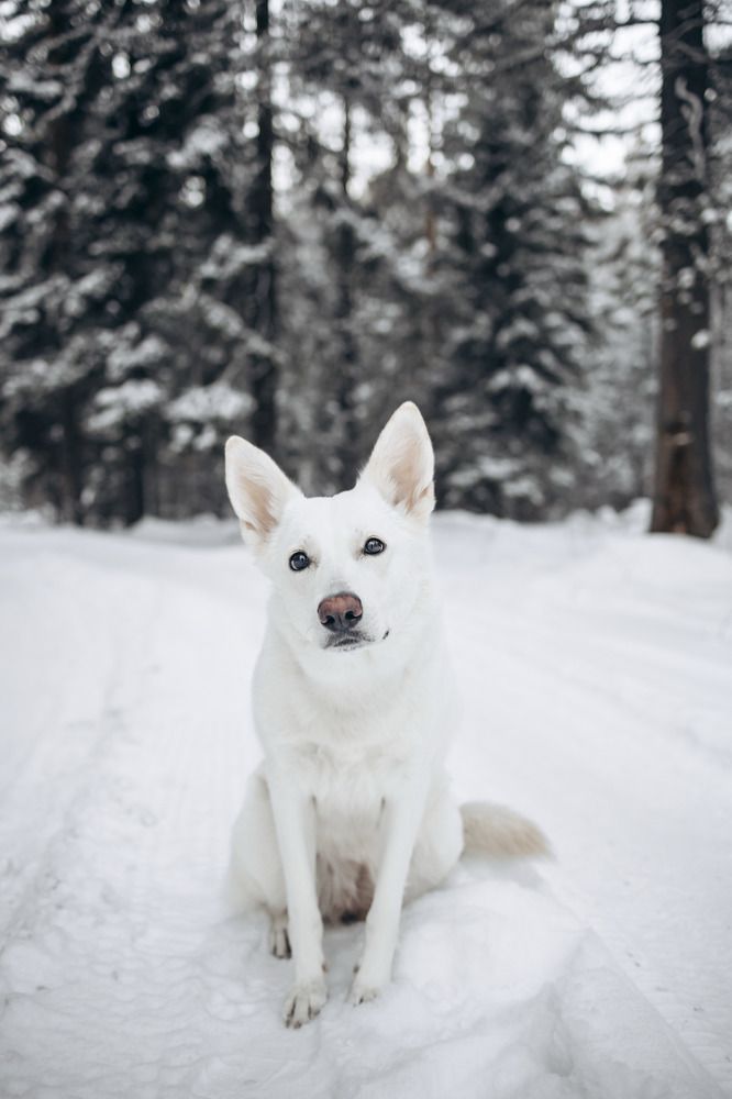 Фотография автора Марина