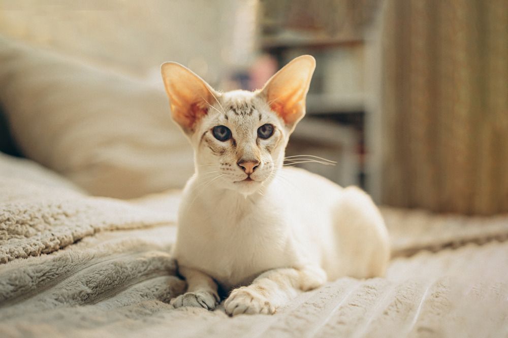 Фотография автора Марина