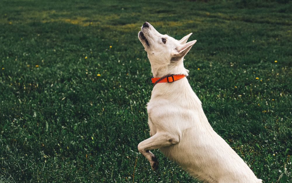 Фотография автора Марина