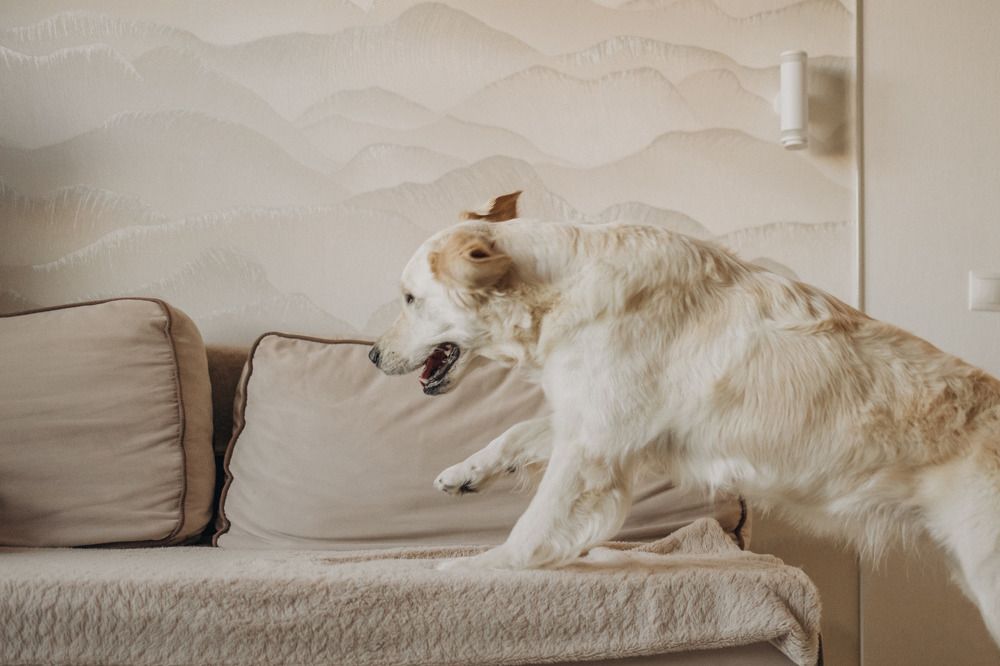 Фотография автора Марина